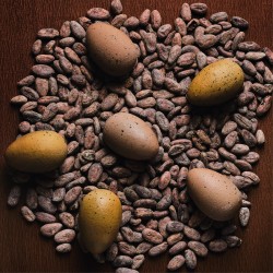 Oeufs de Pâques