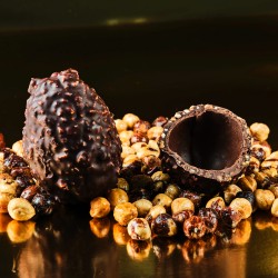 Dark chocolate and hazelnut...