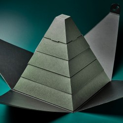 Cacaoyer