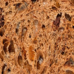 Panettone Cacao (1kg)