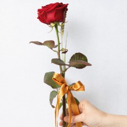 Premium Natural Rose